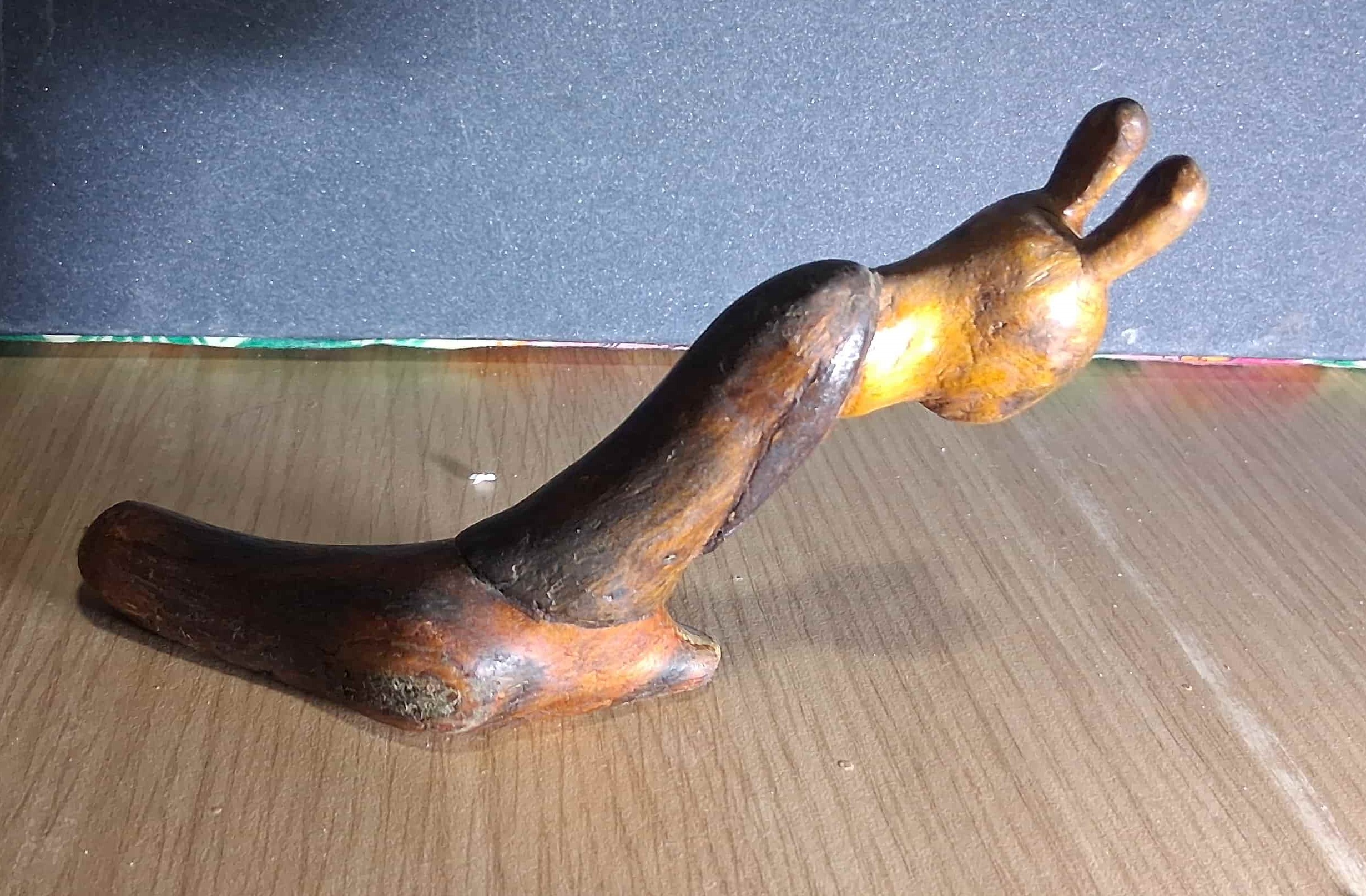 El Caracol Viajero - Perfil