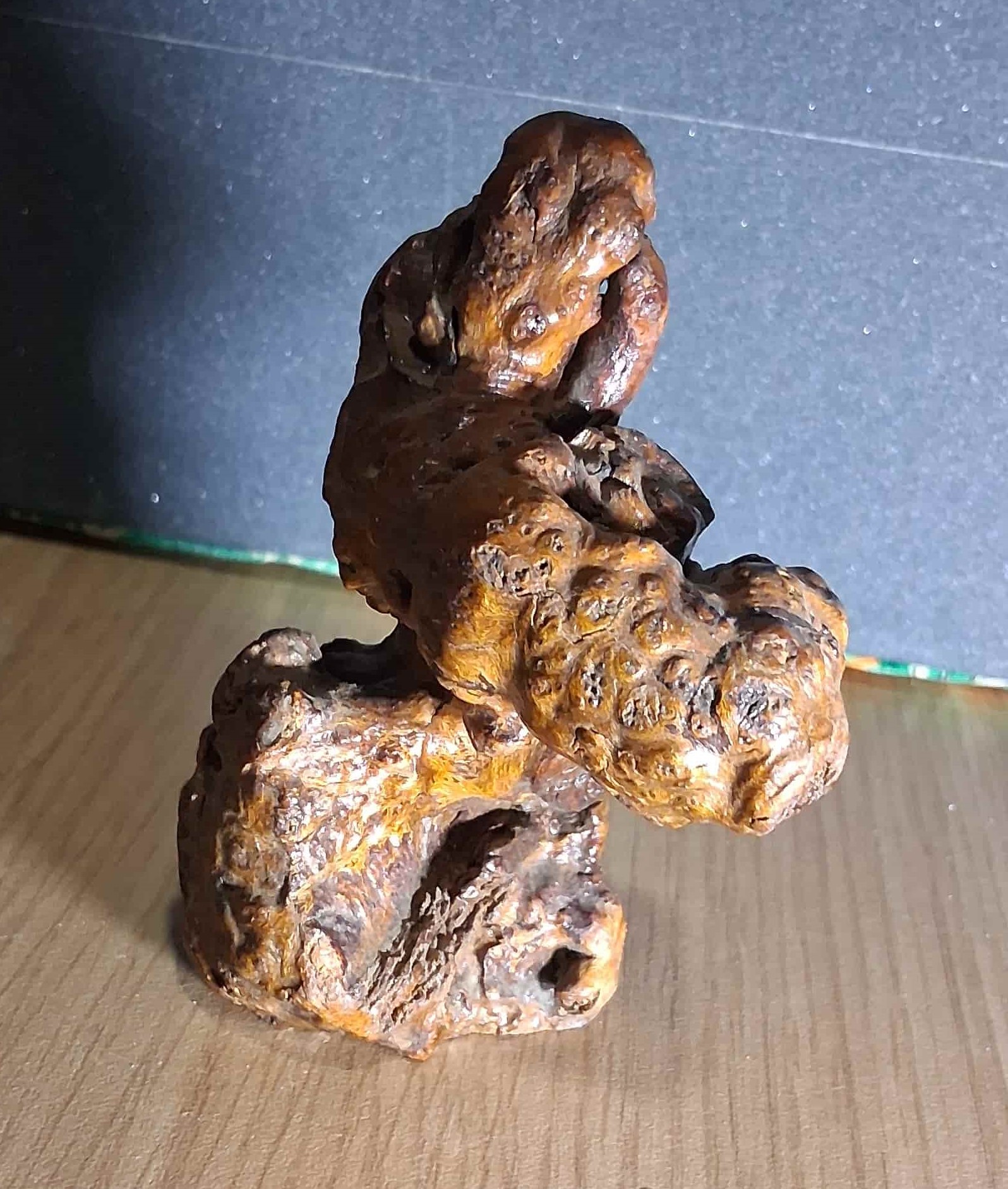 El Pensador del Bosque