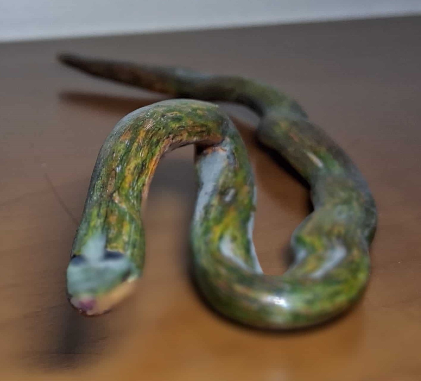 La Serpiente de Musgo