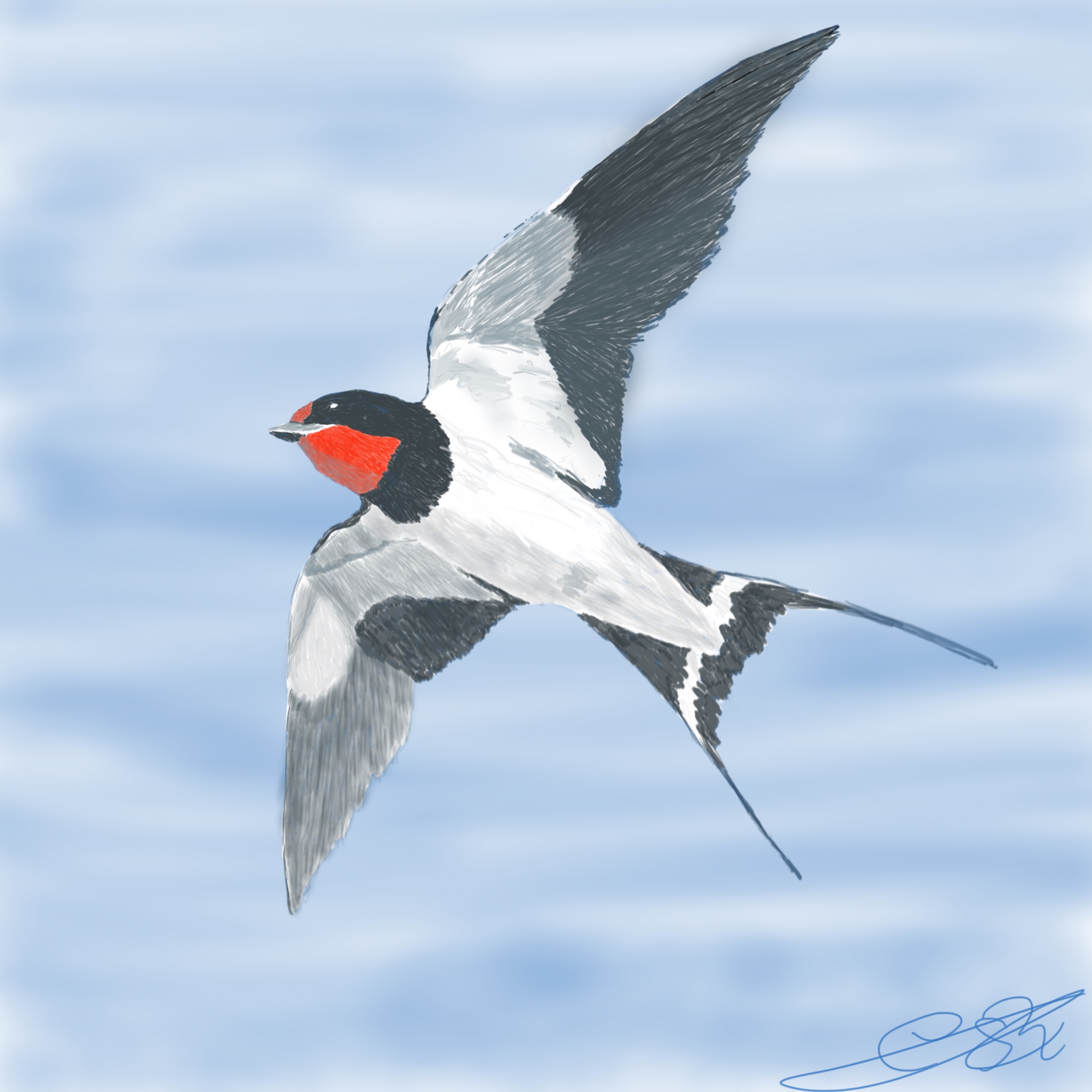 Ilustración digital de una golondrina en vuelo con las alas desplegadas