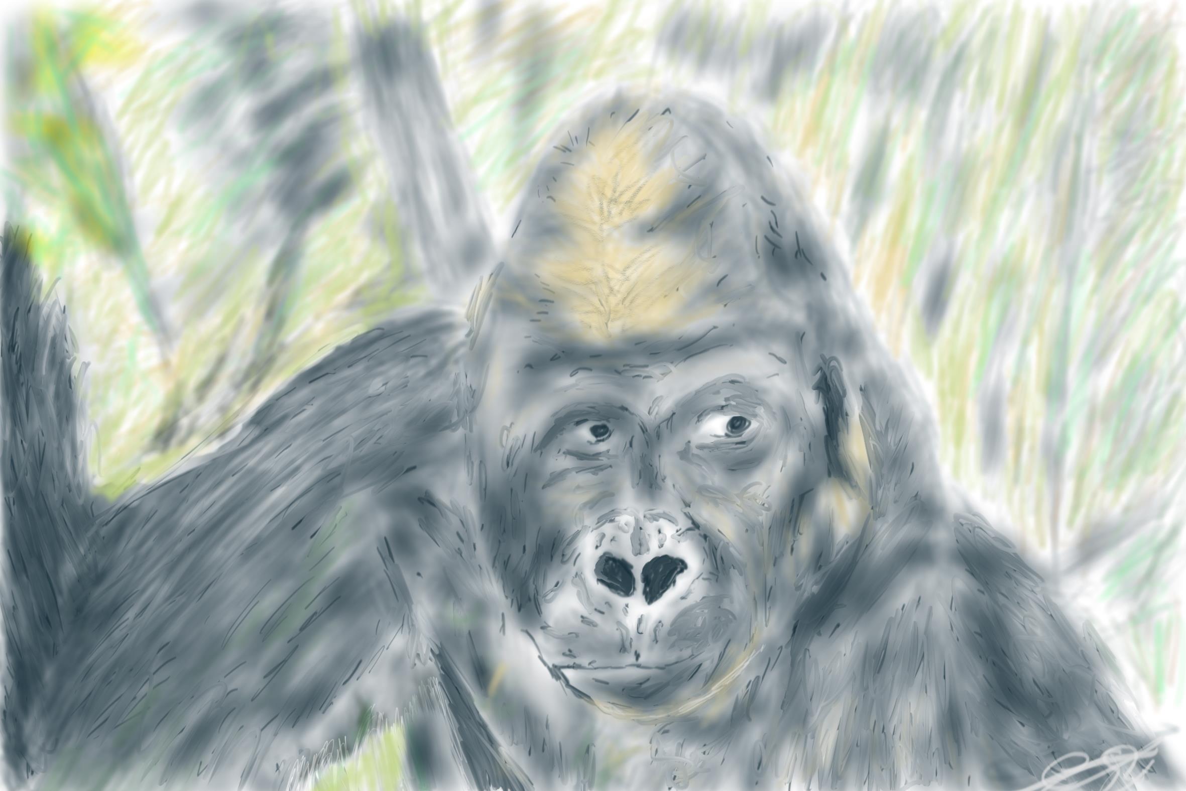 Ilustración digital de un gorila de perfil parcial rodeado de vegetación difuminada