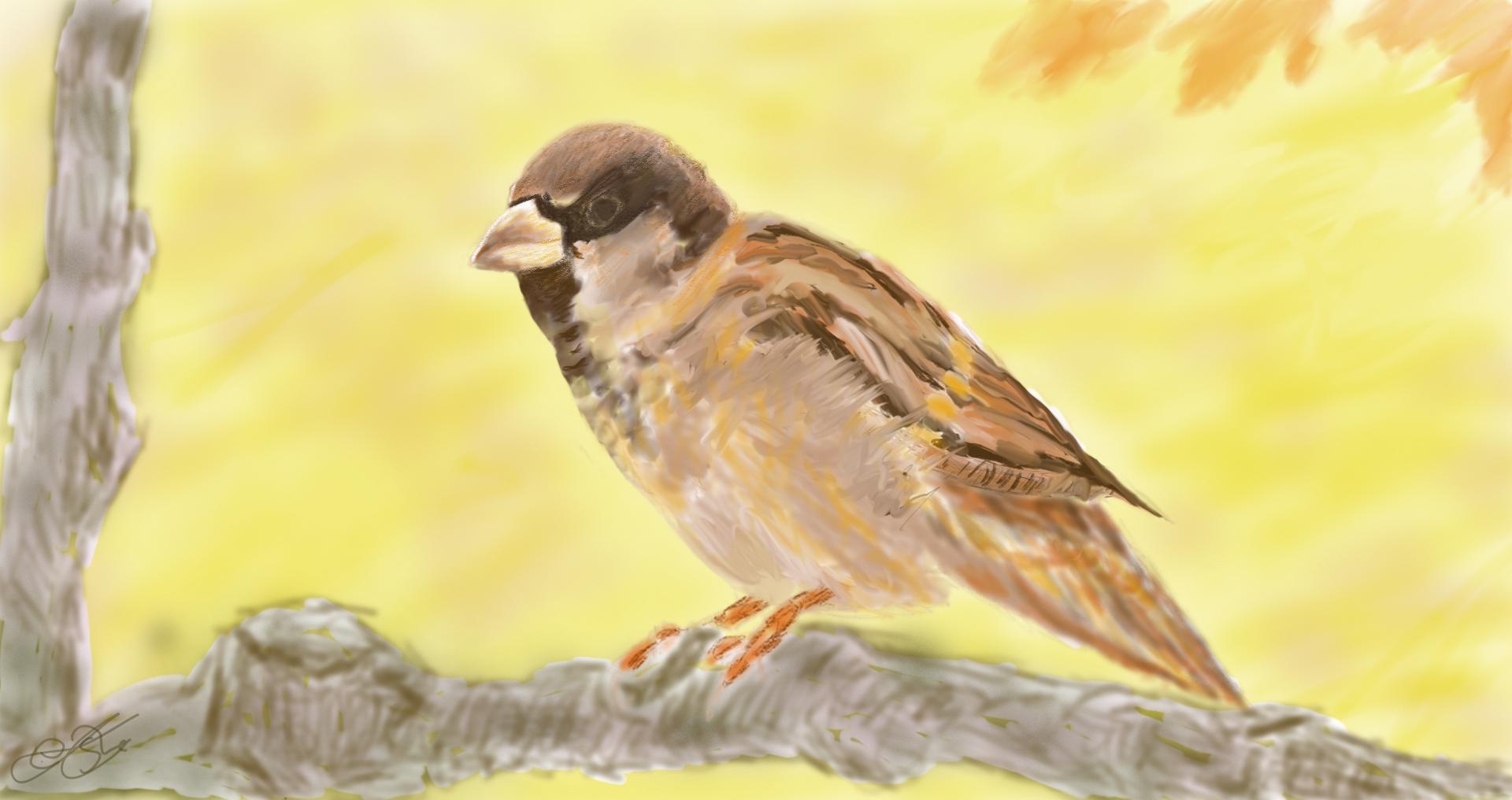 Ilustración digital de un gorrión posado en una rama con fondo otoñal