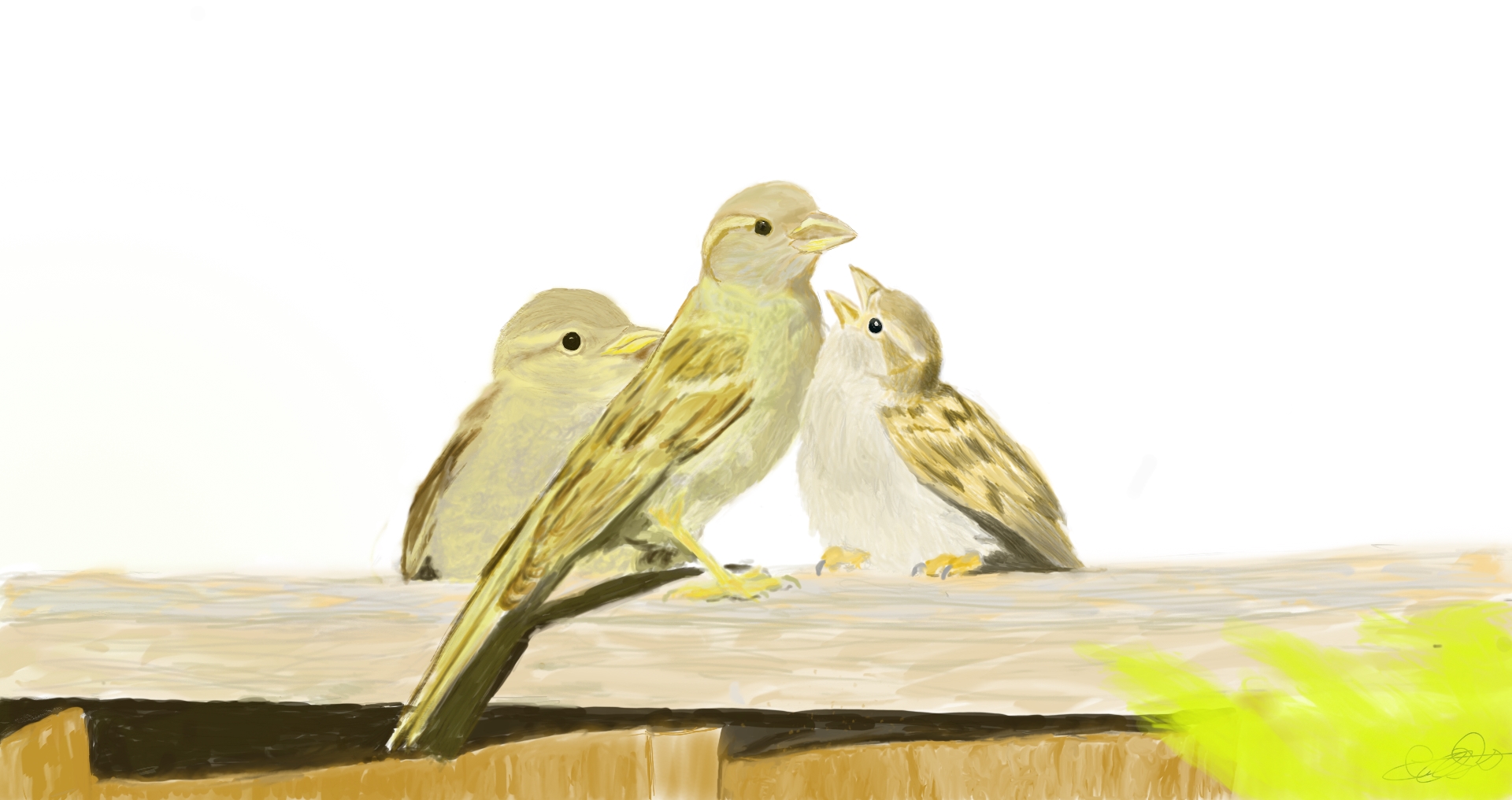 Ilustración digital de tres aves pequeñas, posiblemente gorriones, en una valla de madera