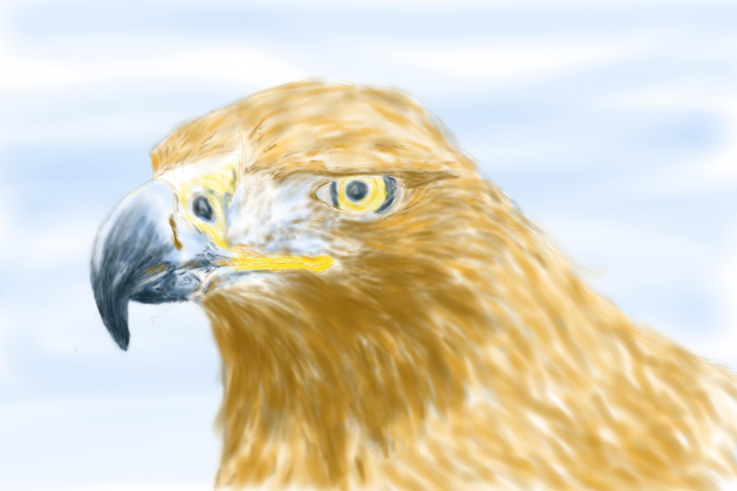 Pintura digital de un primer plano de un águila real