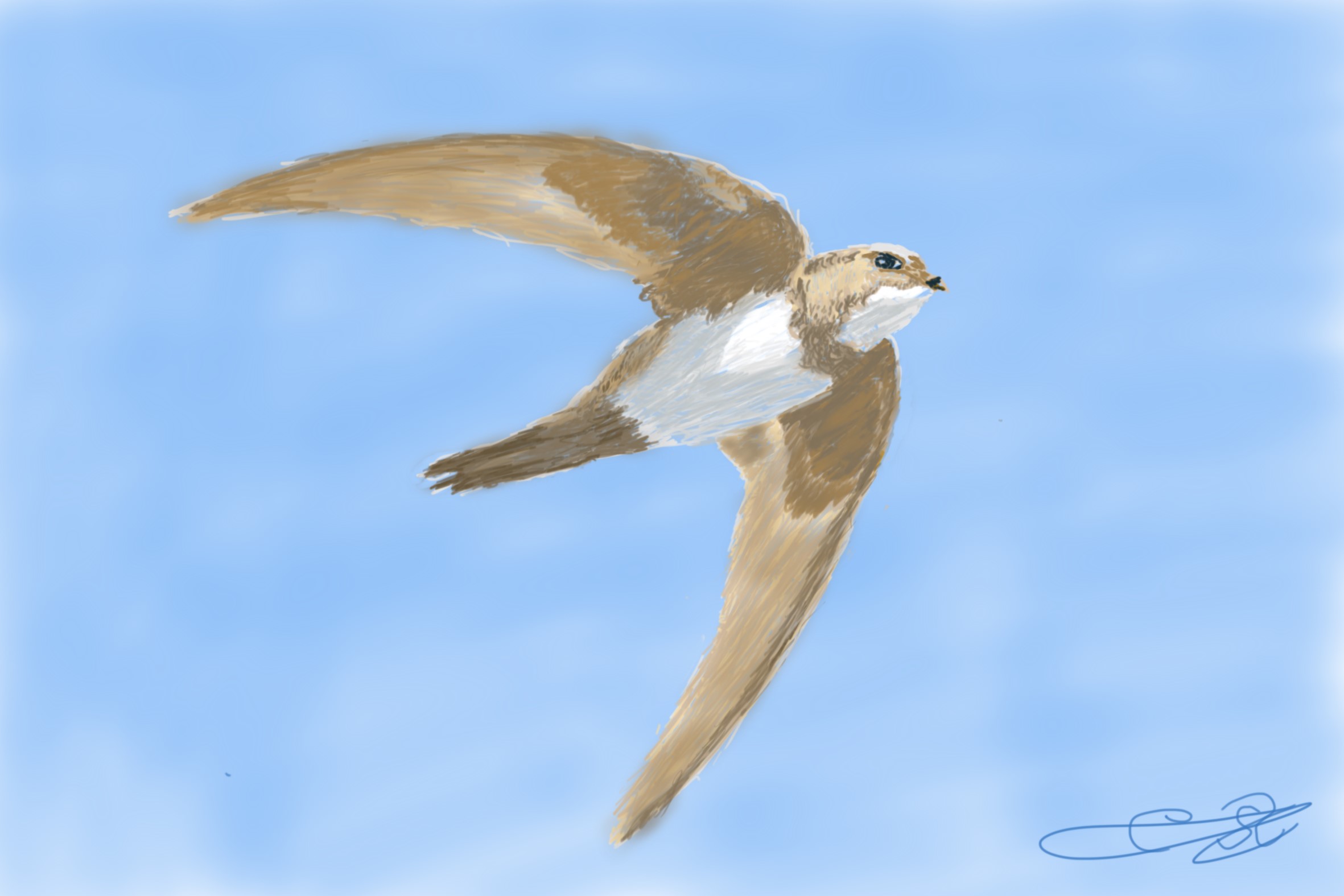 Pintura digital de un ave pequeña volando con las alas extendidas contra un cielo azul claro