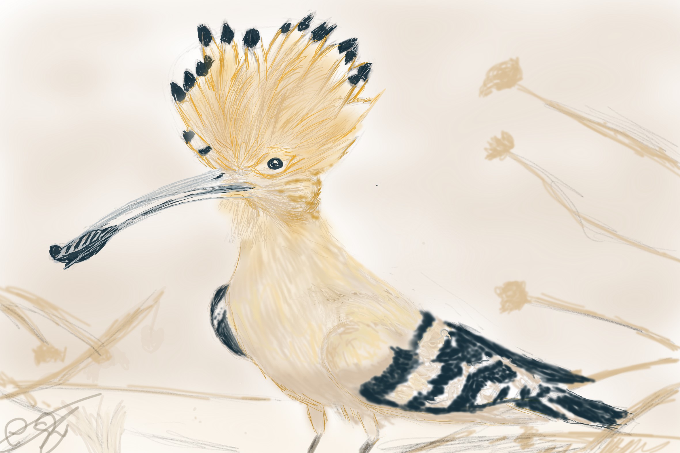 Ilustración digital de una abubilla con su cresta desplegada