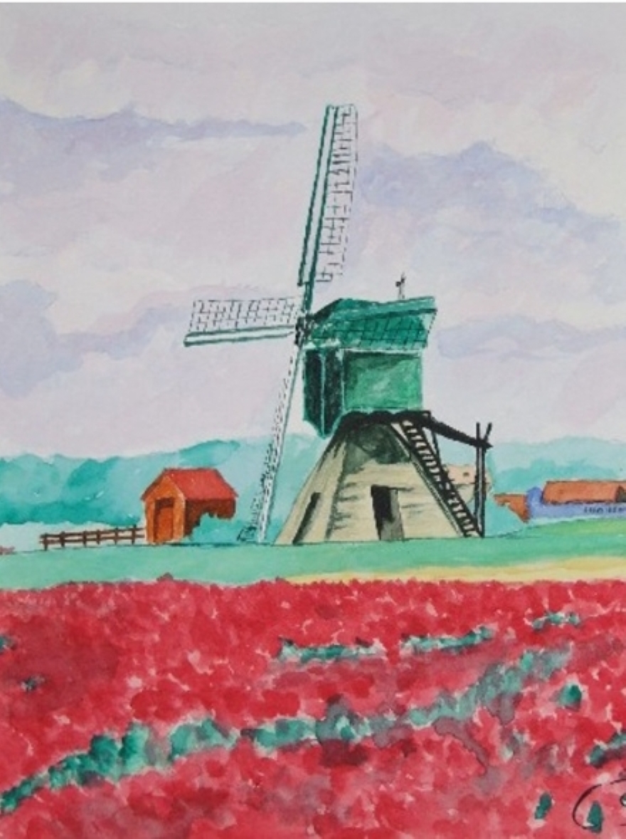 Acuarela de un molino de viento holandés sobre un campo de tulipanes rojos bajo un cielo nublado