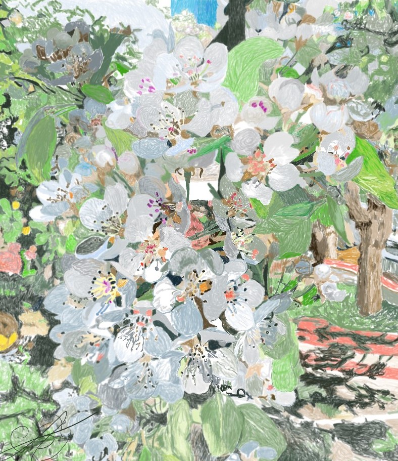 Dibujo a color detallado de un ramillete de flores de peral en primavera rodeadas de densa vegetación verde