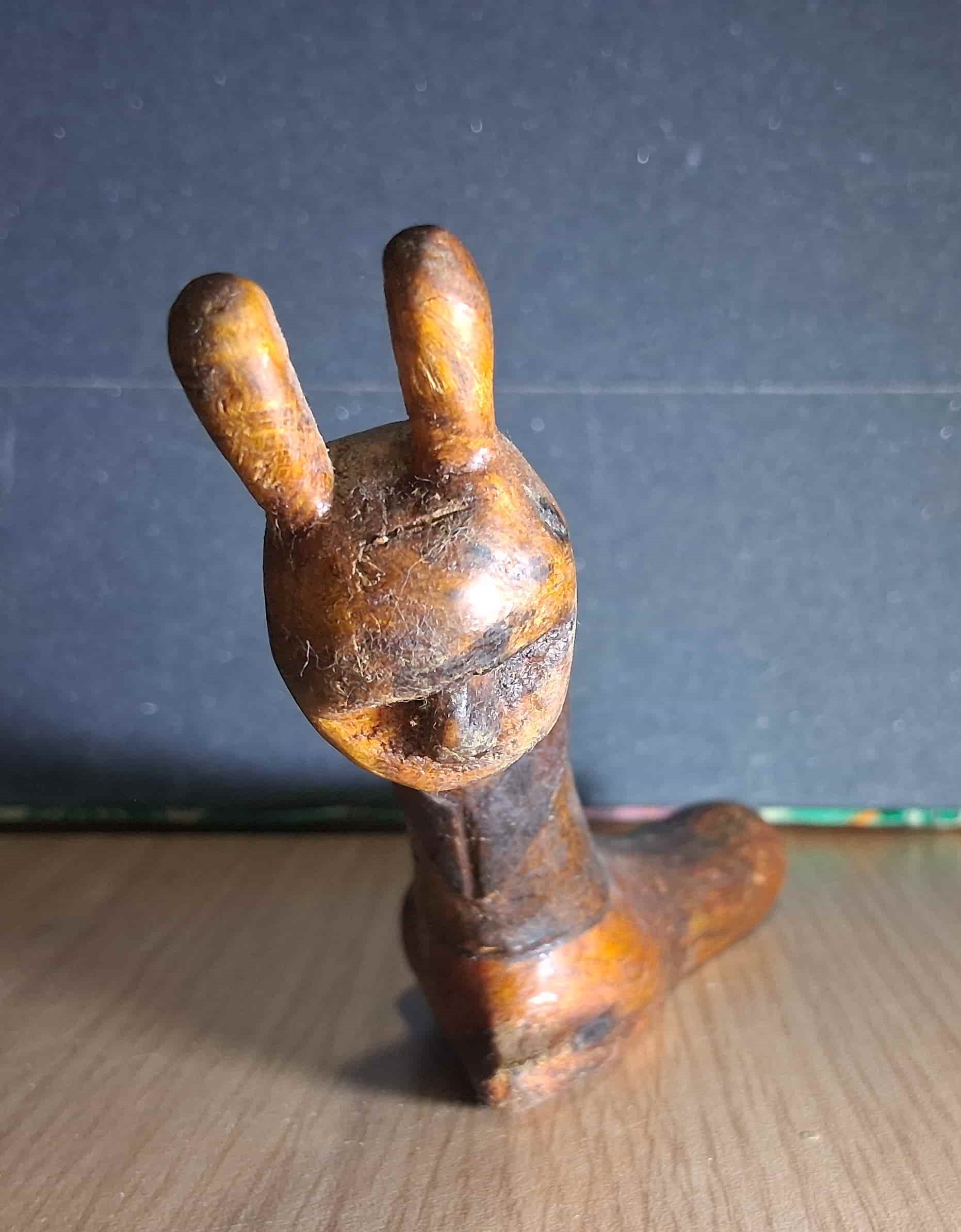 Primer plano de la cabeza