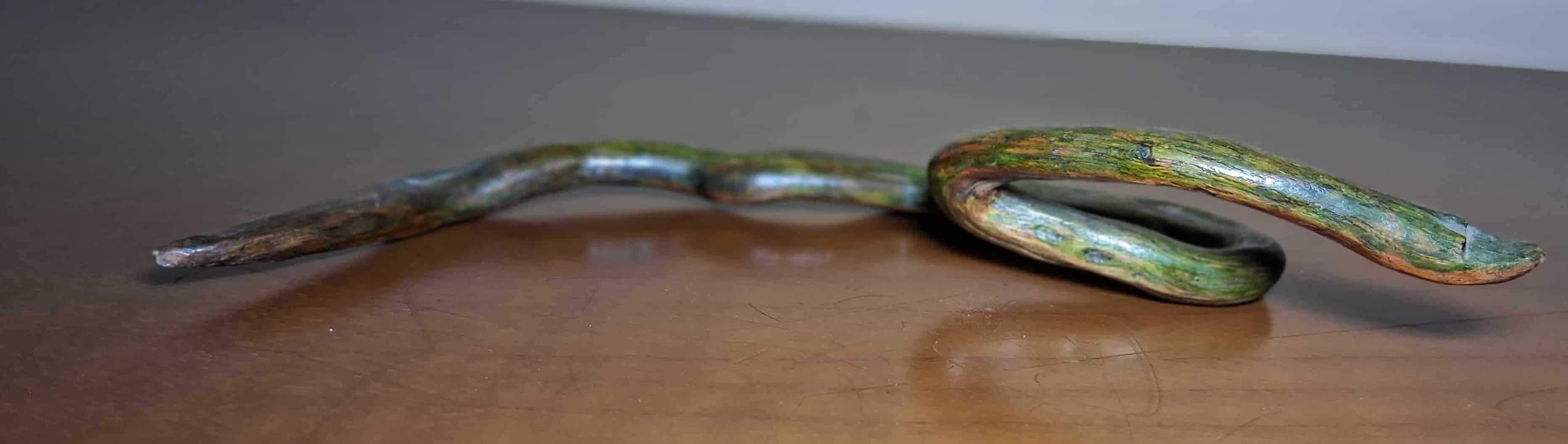 La Serpiente de Musgo - Vista Lateral