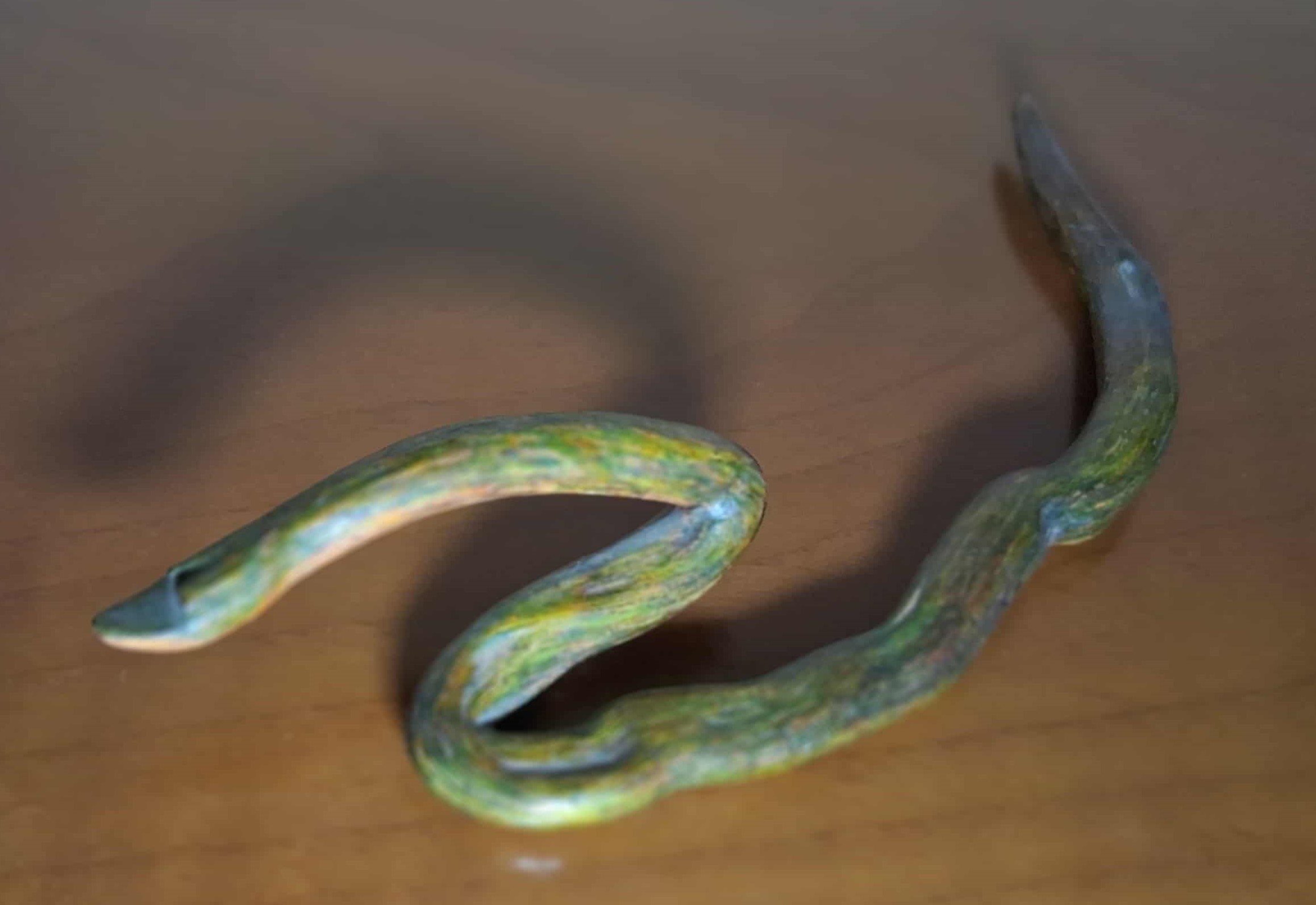 La Serpiente de Musgo - Perspectiva Curva