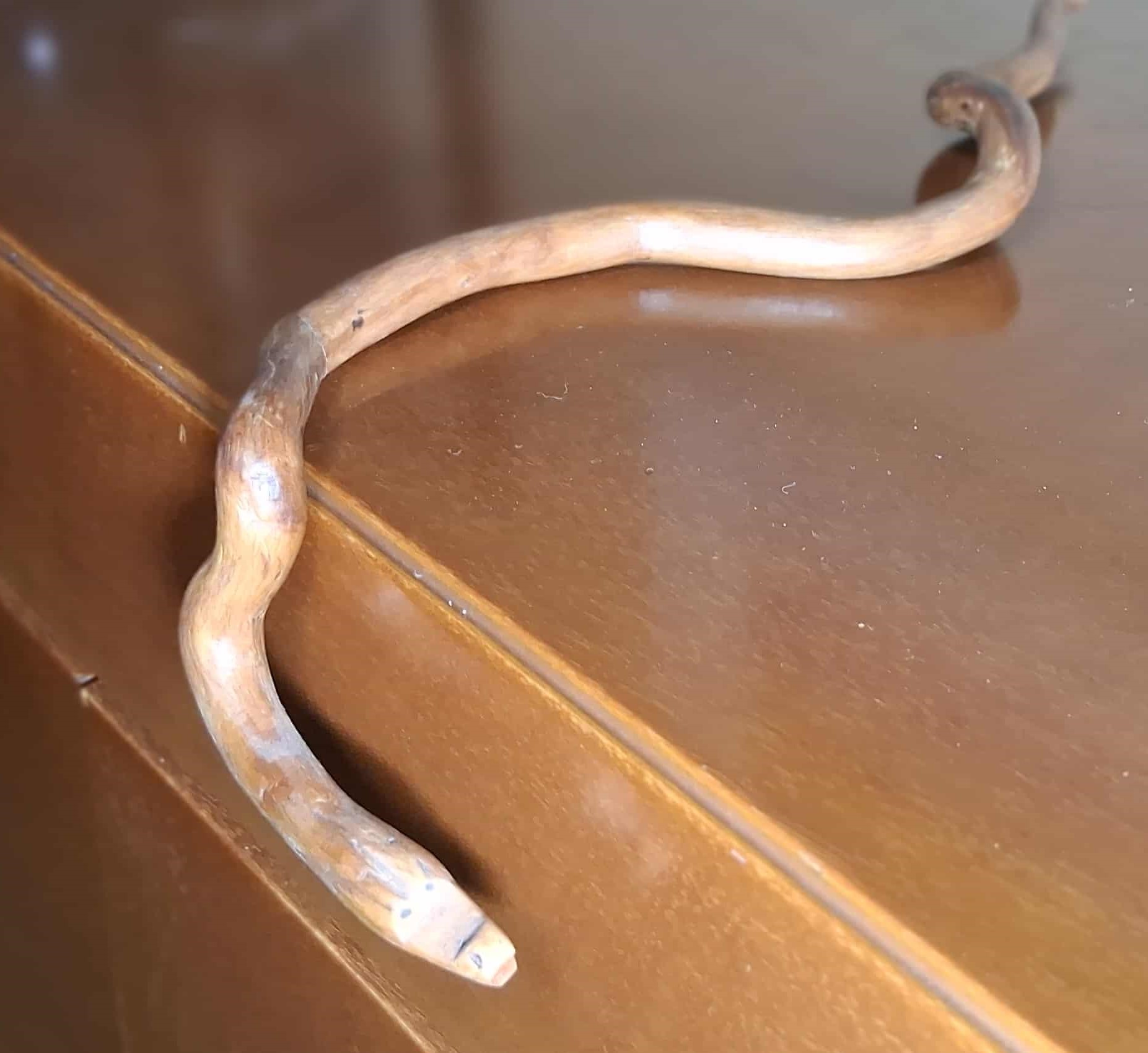 La Serpiente de Borde - Vista superior